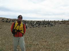 Lorenzo with a pack of penguins transmitted by Lorenzo via satellite phone